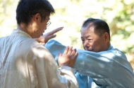 gallery/taiji_yongfeng_2